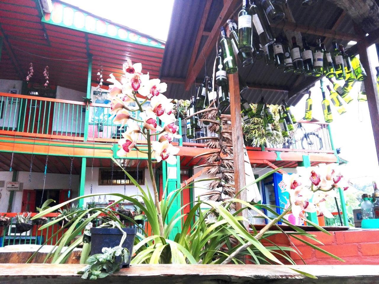 Hostal Estrella De Agua Саленто Экстерьер фото